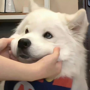 同性恋射精视频网站
